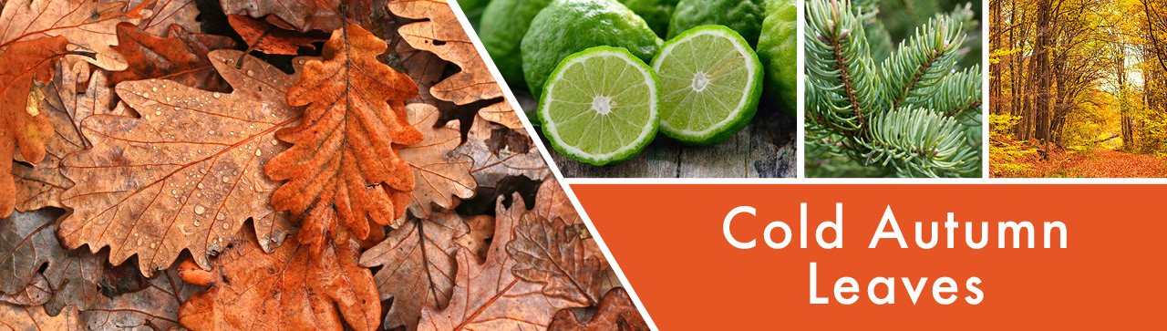 goose-creek-Cold-Autumn-Leaves